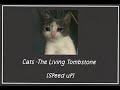 Cats - The Living Tombstone [Speed up]
