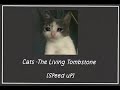 Cats The Living Tombstone Speed Up