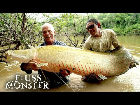 Der Arapaima: Die Legende von Guyana | S6 E06 | Fluss Monster