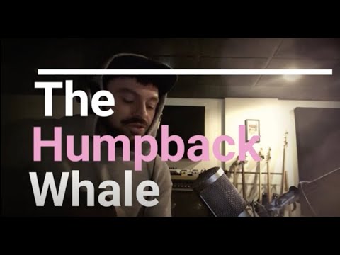 Ballina Whalers / The Humpback Whale - Nic Jones