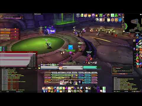 World of Warcraft Classic- Naxxramas Faerlina Priest Mind control perspective