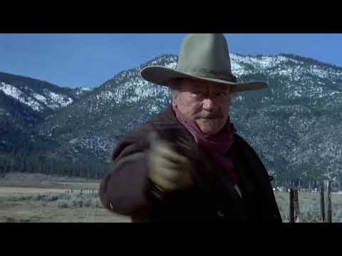 1976 Il pistolero - la tentata rapina a Books