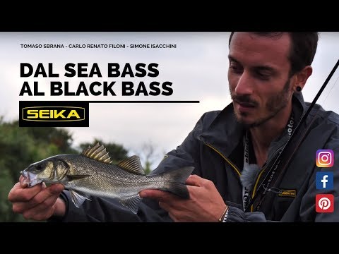 Seika - Dal Sea Bass al Black Bass