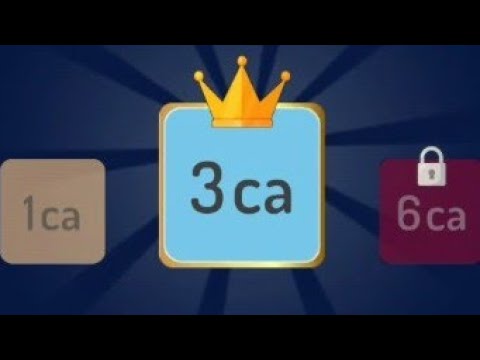 2248 puzzle (873bz～1ca-3ca) block