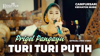 Download lagu Prigel Pangayu - Turi Turi Putih - Kedhaton Musik Campursari mp3 Download lagu Prigel Pangayu - Turi Turi Putih - Kedhaton Musik Campursari mp3
