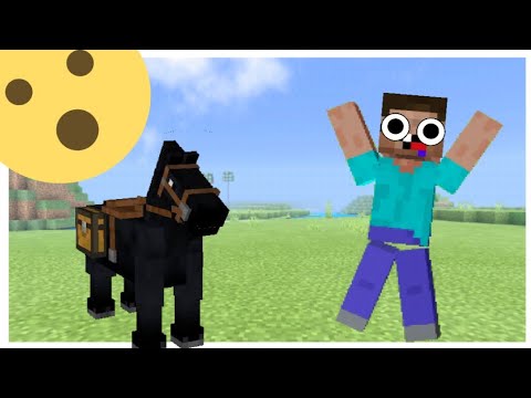 Domei meu primeiro cavalo !!!!! (Ler descrição)