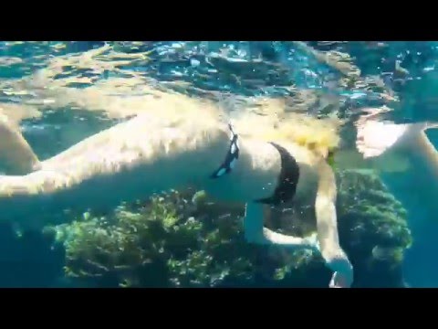 Egypt 2015 Marsa Alam - Calimera Habiba Beach Resort SJCAM SJ4000