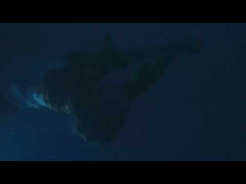 Portair - Coral (Official Video)