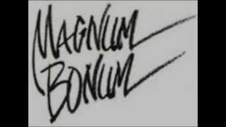 Fan Made:En Ny Ted Gärdestad - Magnum Bonum