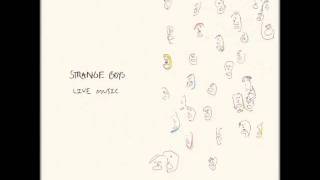 the strange boys - punk&#39;s pajamas