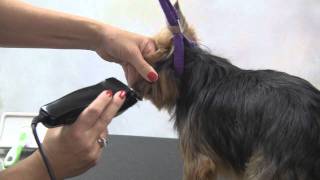 Easy Clip Multi-Trim