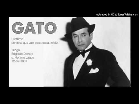 Today's Tango Is... Gato - Edgardo Donato 12-02-1937