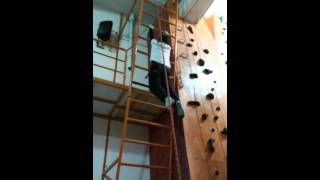 Re: [問題] 引體向上訓練方式請益