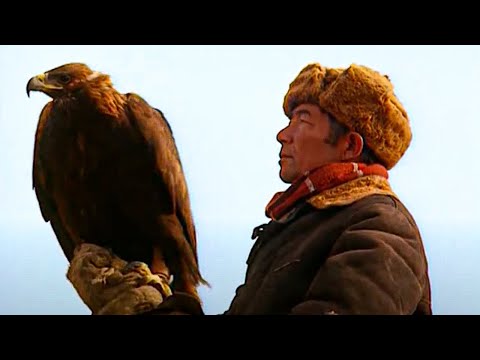 The Lord of the Eagles - The Lords of the Animals