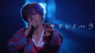 【LIVE映像】サリシノハラ/となりの坂田。【歌ってみた】