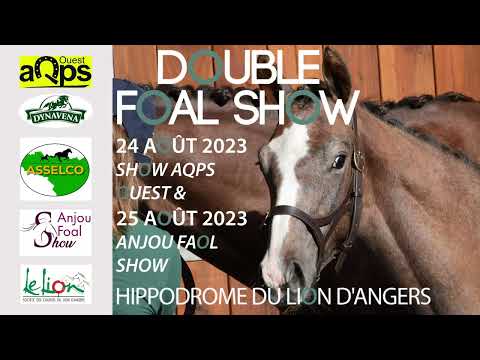 Double Foal Show (AQPS - Anjou)