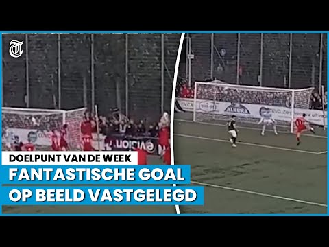 Publiek wordt gek na perfecte volley - DOELPUNT VAN DE WEEK