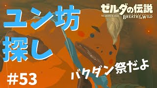 【女性実況】ゼルダの伝説ブレスオブザワイルド～今日もゼルダを救えない#53