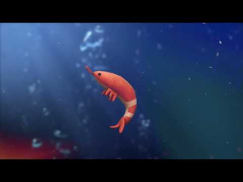 SALTA LA GAMBA (LI4M REMIX) #techhouse #saltalagamba #montoya