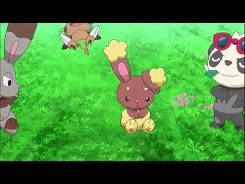 Pancham and chespin are up to something