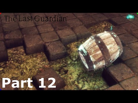 THE LAST GUARDIAN PS5- Walkthrough Gameplay - Part 12