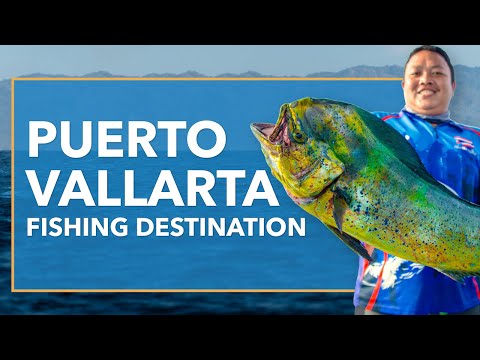 Puerto Vallarta Fishing: An Angler's Guide | FishingBooker