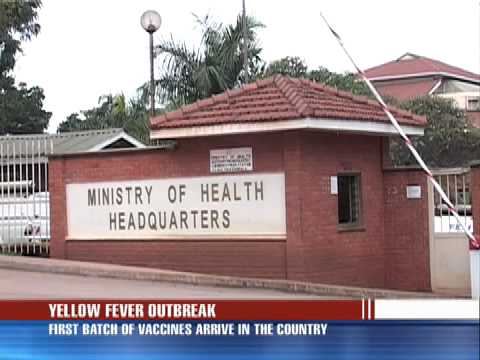 Yellow fever vaccines arrive