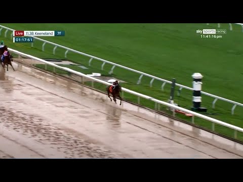Triple Crown winner Justify's half-brother Stage Raider wins so easily at Keeneland!