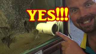 BEAT THIS AQUARIUM FILTER!.....GROOVY - DIY AQUARIUM FILTER FROM PONDGURU
