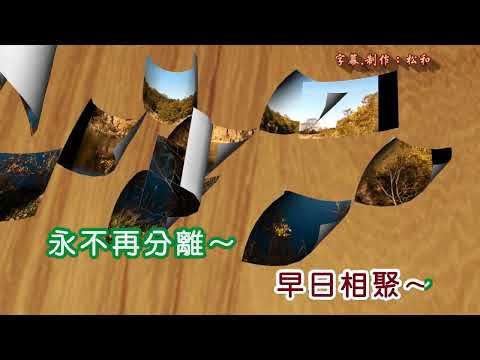 鳳飛飛 ~ 溫馨的回憶