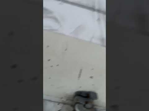 DAF LF video miniatur