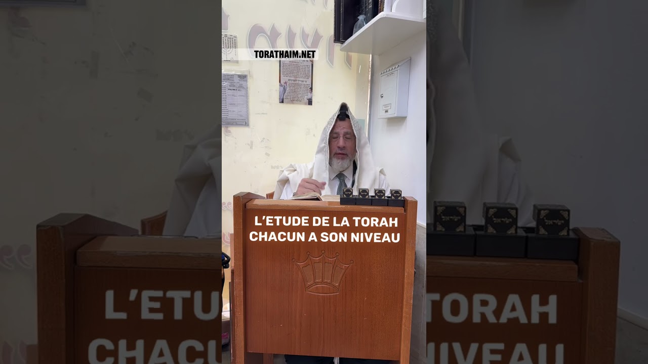 L’Etude de la Torah… plus d’excuses     👉🏼 Chacun à son niveau