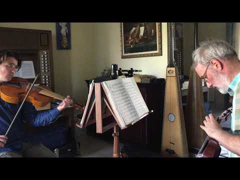 Viola d'Amore and pardessus de viole summer 2020