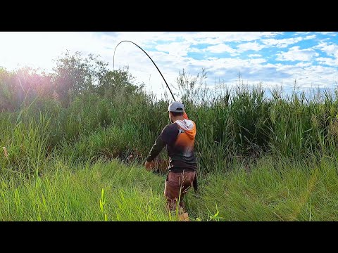 I went back to Paraná and we found a place infested with fish, fishing from the bank/fishing for ...
