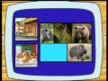 Go Diego Les Animaux Féroces NICKELODEON JUNIOR