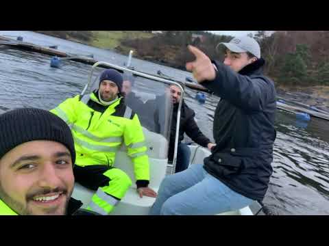 SEA HUNTER - Teil 2 Das große angeln in Norwegen 🇳🇴