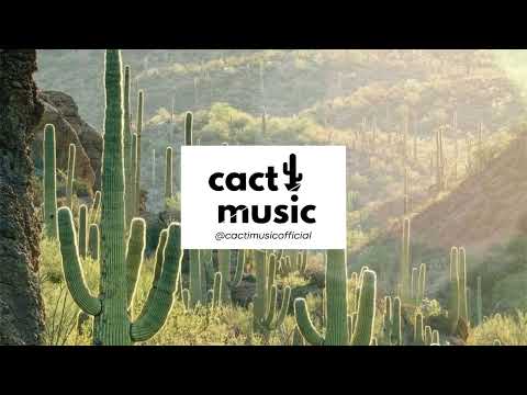 Jean Tonique, warner case, Max Kaluza - summer on the inside