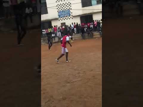 Marcana zebie titi Kone MozaGanG