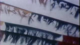 The Triffids - Raining Pleasure (1984)