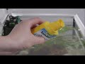 Tetra Water care SafeStart Bacteria, 250 ml