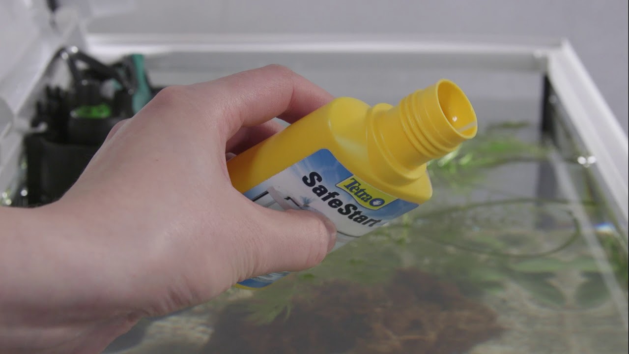 Tetra Water care SafeStart Bacteria, 250 ml