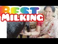 Best Milking