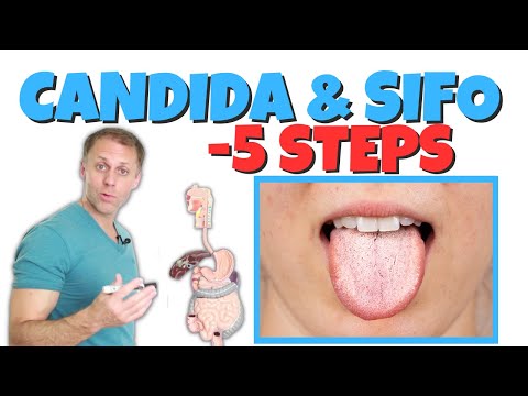 5 Steps to Improve Candida or SIFO (Small Intestinal Fungal Overgrowth)