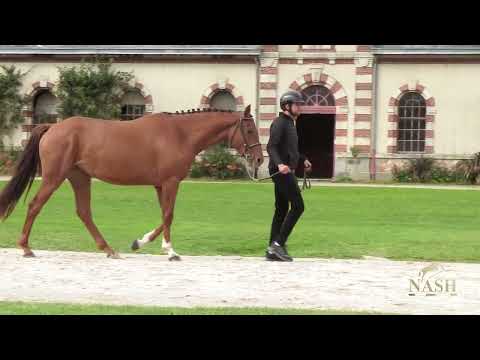 MIRTYLLE D'EAU GRENOU