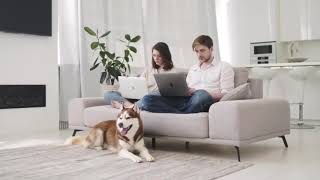 Get Your Own Unique Webstore On SHEconomy