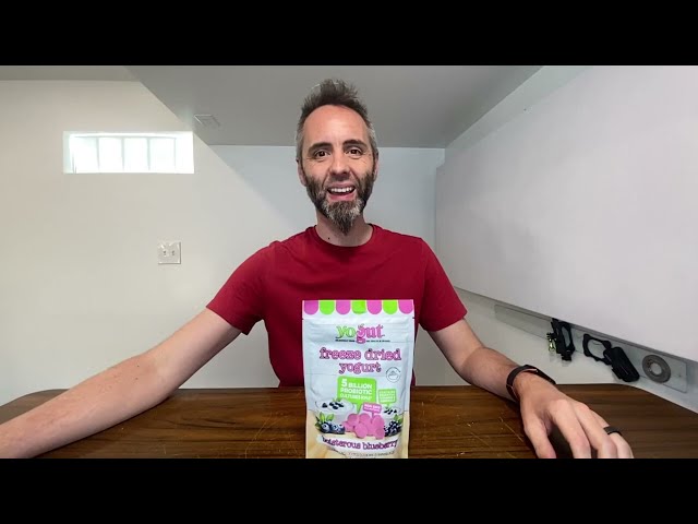 Best Freeze-Dried Yogurt Snacks for Kids: A Nutritious Delight - close-up view