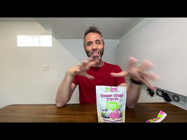 Best Freeze-Dried Yogurt Snacks for Kids: A Nutritious Delight - alternate angle