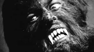 Springtime Carnivore - Sun Went Black