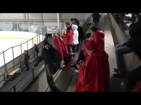 Vipers 2009 vs Vipers 2010 (2/2)