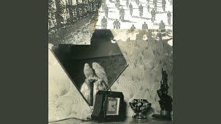 Music video thumbnail preview for Sweet and Sour reprise by Swell Maps